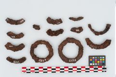 Foto von Eisenring (NHMW-PRAE-002278)